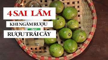 4 SAI LẦM KHI NGÂM RƯỢU ỔI | RƯỢU HOA QUẢ | RƯỢU TRÁI CÂY