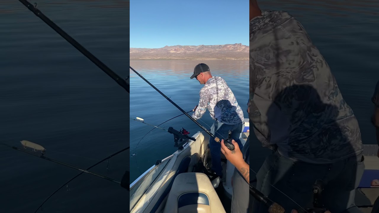 Fishing Lake Mohave striper boils YouTube