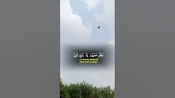 🕋 متفوتش التلاوة دي فيها خشوع وشفاء ونور مش طبيعي 💫 #قرآن #راحة_نفسية #ارح_قلبك #quran #اكسبلور#لايك