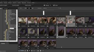 Digital Photo Professional 4   batch convert