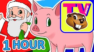 Kids 1 Hour TV Show | Busy Beavers BBTV S1 E5 & E6 | Kindergarten Kids Learning Video