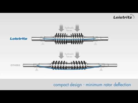 L4 Animation - Screw Pump two spindles double vollute