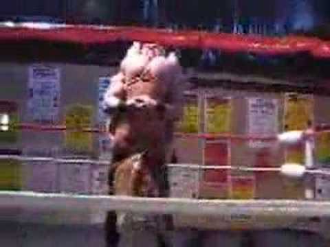 mixed wrestling tombstone piledriver