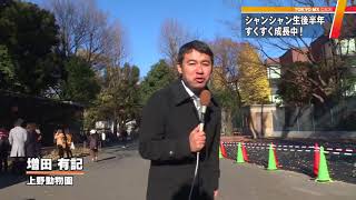 シャンシャン生後半年　観覧応募に25万組超