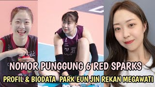 Profil & Biodata Park Eun Jin Nomor 6 Red Sparks | Rekan Megawati Hangestri