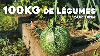 Comment j'ai produit 100 kg de légumes dans mon potager ! (bilan 2022)