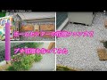 【ガーデニング】プチ花壇を作ってみた(DIY) の動画、YouTube動画。