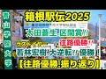 【箱根駅伝2025】青山学院大学！往路優勝‼︎.結果振り返り！