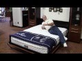 Murphy Bed Mattress Murphy Bed Mattress
