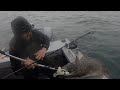 Filling the Fish Box! Halibut Fishing - Juneau, Alaska! JULY 2020