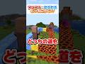 ゾンビはどっちの道へ行く?? #マイクラ