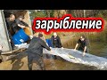 Зарыбление !! Тверская область!