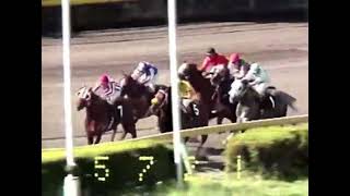 1986 Governor’s Handicap Longacres (Bedside Promise)