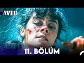 Avlu 11 blm