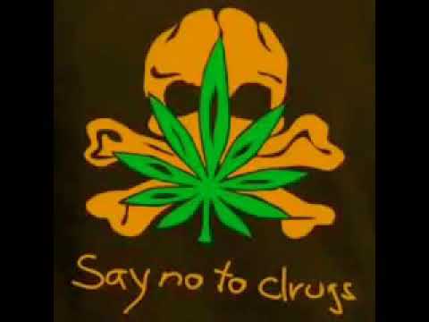 Lagu daun ganja