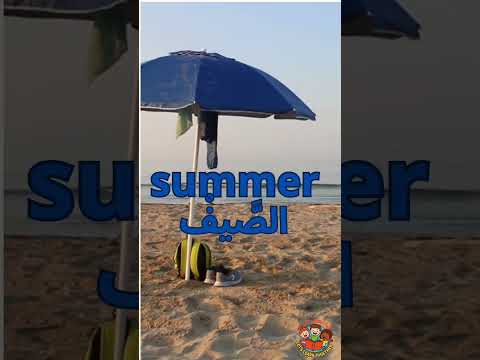  4      الفصول الأربعة 