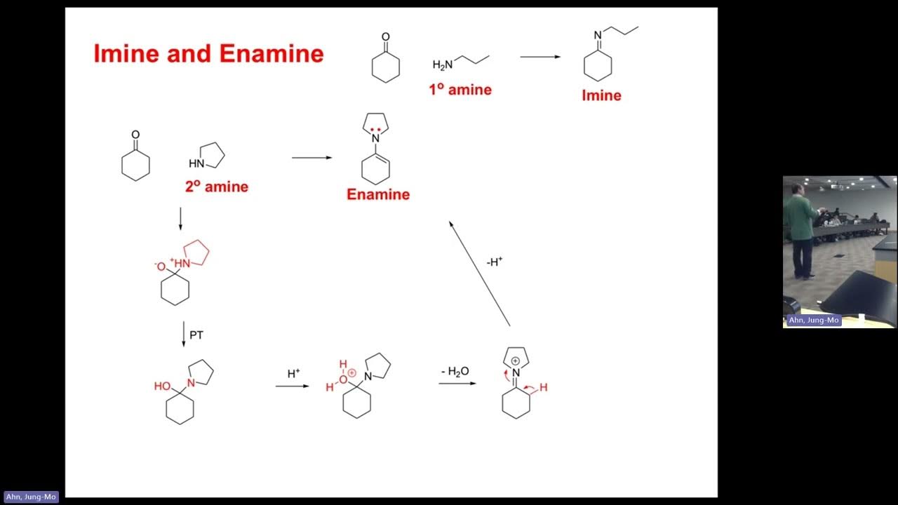 Organic Chemistry 2 Formation of imine and enamine YouTube