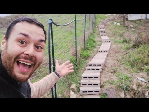 Video: Quanto costano i gradini in mattoni?