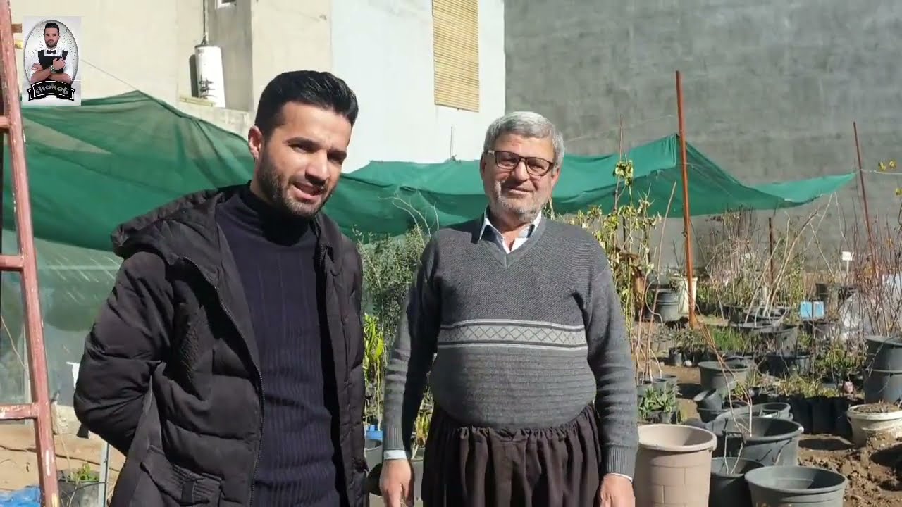 کورتەباسێک لەسەرمێوە بیانیەکان لەلایان وەستا طلعت منتك#شهاب حلاق#shahab halaq#عنب یاقوتی فی الربیل#