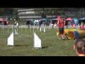 Enya norgesmester i agility 2014