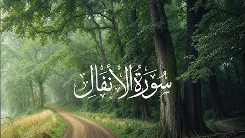 سورة الأنفال – تلاوة تبعث الطمأنينة في القلب 💚 بصوت عبد الكريم الدغوش