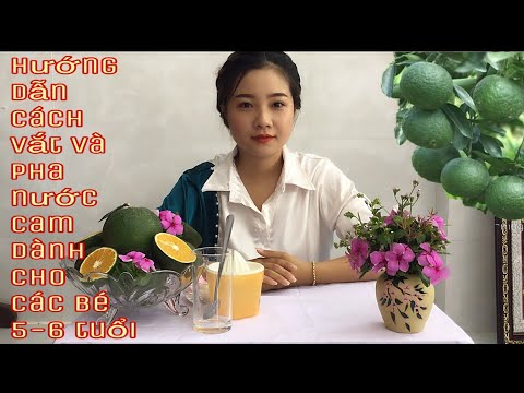 Video Dạy trẻ kỹ năng vắt và pha nước cam / Trường Mầm Non... - youtube