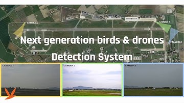 Birdstrike solution and drone detection system