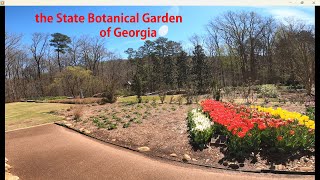 Sights & Sounds Of Athens: the State Botanical Garden of Georgia