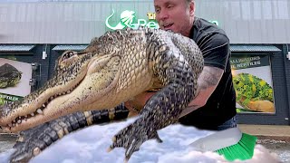 GIVING MY HUGE PET ALLIGATOR A BATH!! | BRIAN BARCZYK