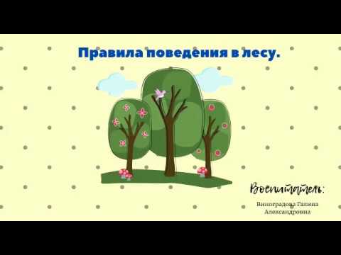 Развивающее занятие 