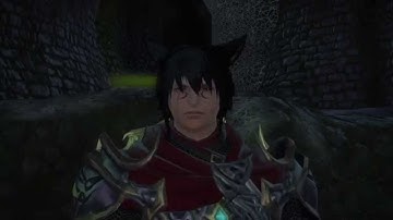 Final Fantasy XIV: A Realm Reborn - Into the Beast