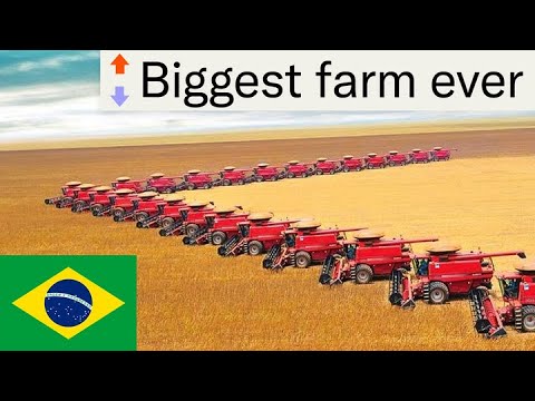 Video: Brazil: industry and agriculture