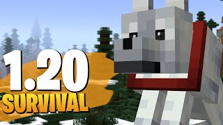 MINECRAFT SURVIVAL 1.20.5▕▏ Capítulo 202 - La Manada Completa!!