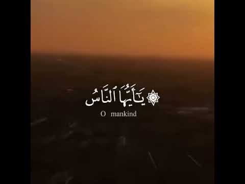 حالات واتس قران كريم يا ايها الناس انتم الفقراء الى الله بصوت جميل جدا