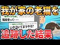 【感動】我が家の老猫（18）を追跡した結果【2ch面白いスレ】