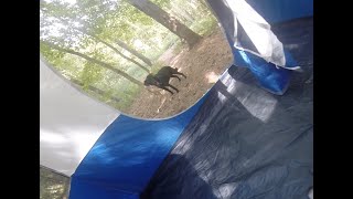 Wayne National Forest Camping Trip with the Dog, and new Music!!!!!!