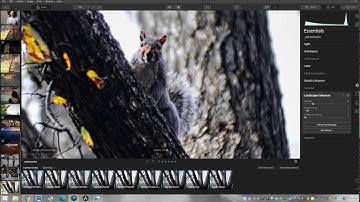 Luminar 4 Get rid of Chromatic Adoration