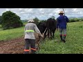 Agricultores Na Roça Cortando Terra , Olho D’gua das Flores AL