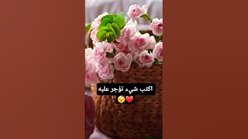 اكتب شيء تؤجر عليه ❤ #القرآن_الكريم #اكسبلور #المصحف #تلاوات #دويتو #تلاوة_مميزة #لايك #المراه