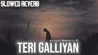 Teri Galliyan Slowed and Reverb Avinash Meena Lo-Fi Music #galliyan Resimi