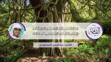 تلاوة شجية تلامس القلوب راحه لاتوصف