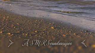 Lake Waves & Wild Wind and Sand Blasts