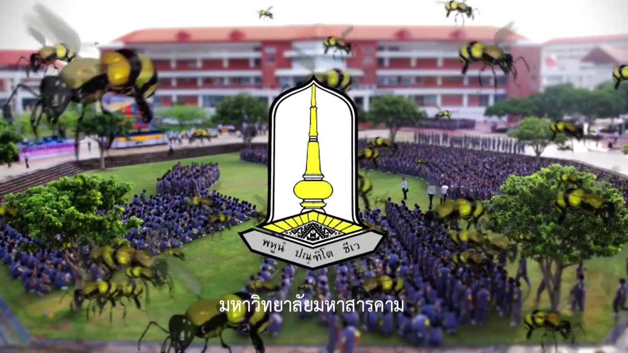 MSU CHEER 2012 - Pumarin10 รับน้อง มมส