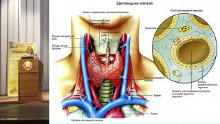Здоровье щитовидной железы 🍀 Врач, нутрициолог Ромбак Л.В.