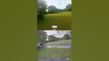 FPV GoPro vs Analog #fpv #gopro #analog #gyroflow #freestyle