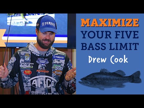 Bassmaster Drew Cook's Big Bass Fishing Tips (Five Bass Limit