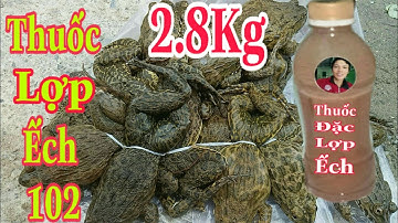 Tập 139, Mồi lợp ếch độc quyền, Đặc xuống ếch mẹ ếch Con dành nhau vô cứng lợp,