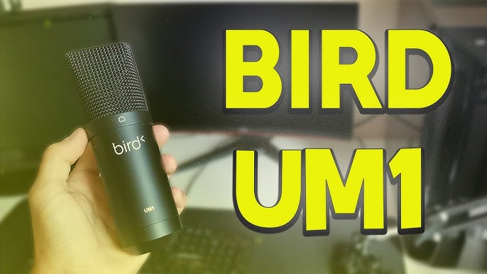 BIRD UM1 TEST - BEST LESS 60€ MICROPHONE IN 2021? 