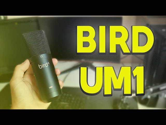 Tests : Test du Micro Bird UM1 