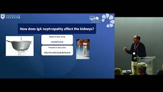 2025 update on what's happening in IgA Nephropathy